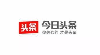 头条文字和视频的区别,内容呈现方式的优劣对比