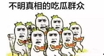 吃瓜群众要吃瓜,吃瓜群众的热门瓜料大盘点