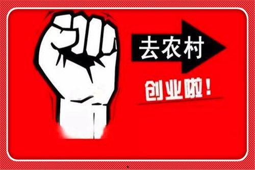 农民怎么在头条开店赚钱,农民如何利用头条平台开启电商致富之路