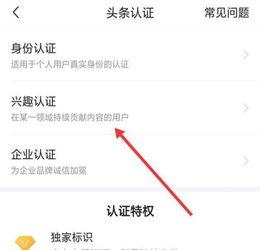 今日头条为什么不能私聊,为何私聊功能受限背后的原因