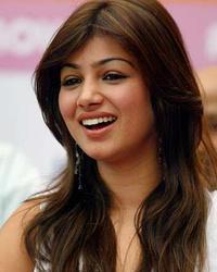 小阿莎明星,闪耀星途，青春偶像的璀璨时刻