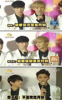 明星名字tao,探寻明星Tao的璀璨人生