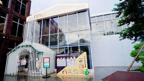 旧金山网红打卡渔人码头,旧金山网红打卡地的魅力之旅