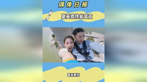 夏老师热能瓜,揭秘瓜果中的能量秘密