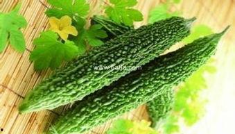 术后吃凉瓜,凉瓜助力康复之旅