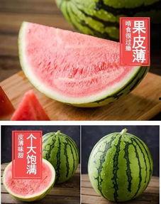 蜜蜂麒麟瓜怎么吃,美味多汁，轻松享用的夏日佳品