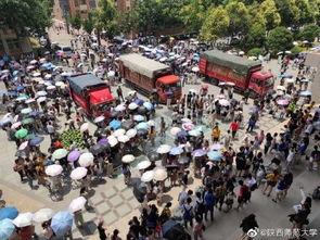 高新学院吃瓜人,吃瓜人生，笑谈世间百态