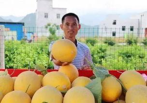 吃瓜金二,揭秘娱乐圈背后的故事