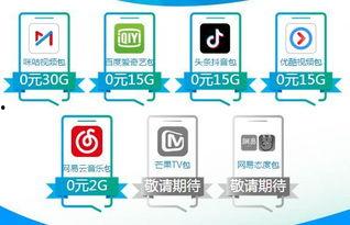 抖音头条专项流量包,解锁热门内容快速传播的秘密武器