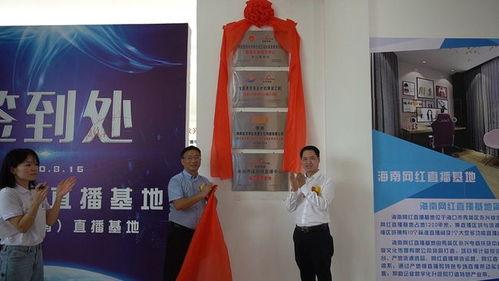 海南新闻网红直播事件,直播内容争议与舆论风波