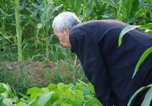 梦见过世老人吃角瓜,世老人与角瓜的奇妙邂逅