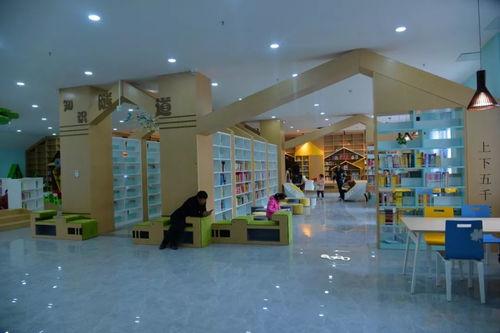 网红熊图书馆图片,萌趣空间里的知识之旅