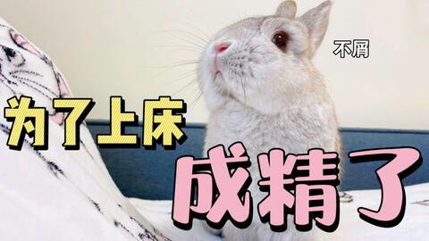 兔兔娱乐吃瓜